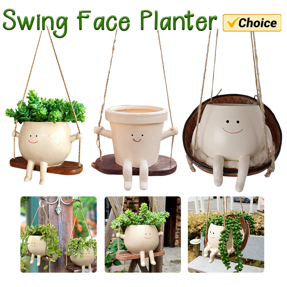 Echeveria Succulent - Plant Hanger Baskets Lovely Swing Face