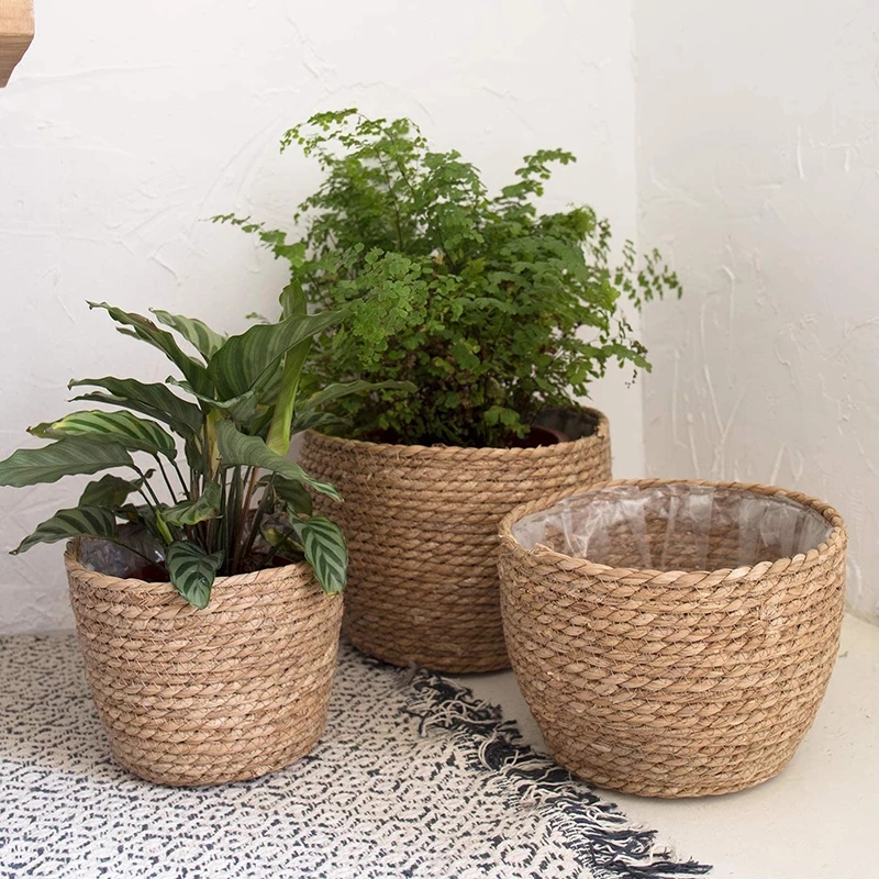 Aloe Vera Pot - Straw Weaving Flower Plant Pot Basket