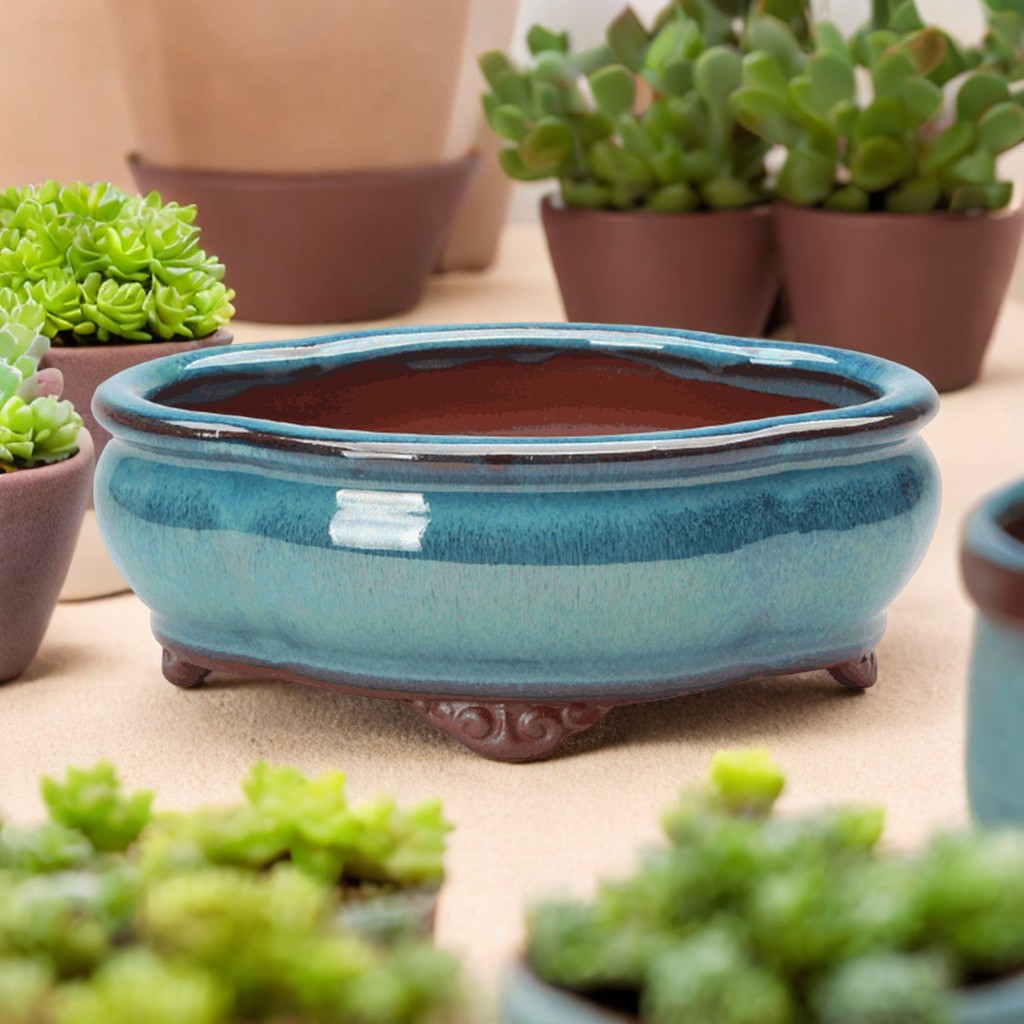 Pilea Peperomioides - Ceramic Succulent Flower Pot Chinese Style
