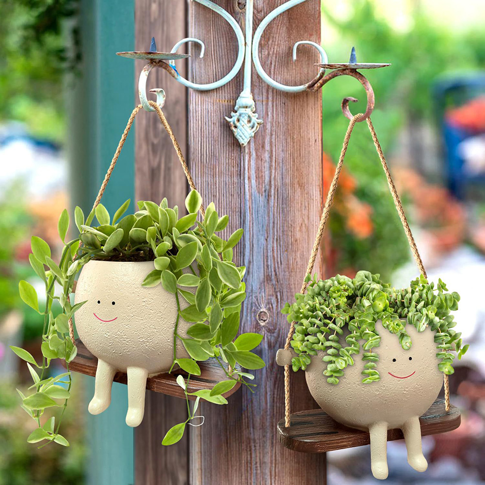 Plant Hanger Baskets Lovely Sw – Echeveria Succulent Bewertung und Preis