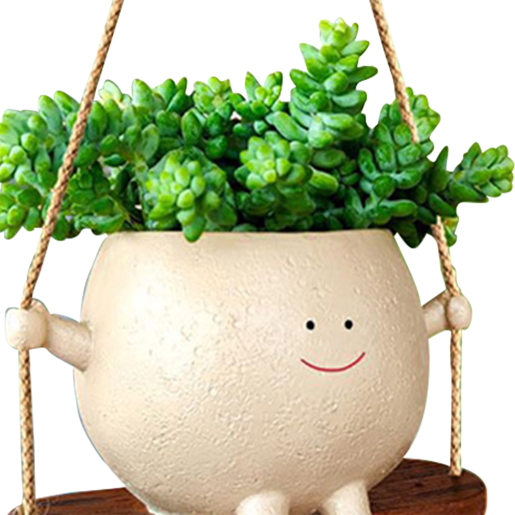 Plant Hanger Baskets Lovely Sw – Echeveria Succulent Bewertung und Preis