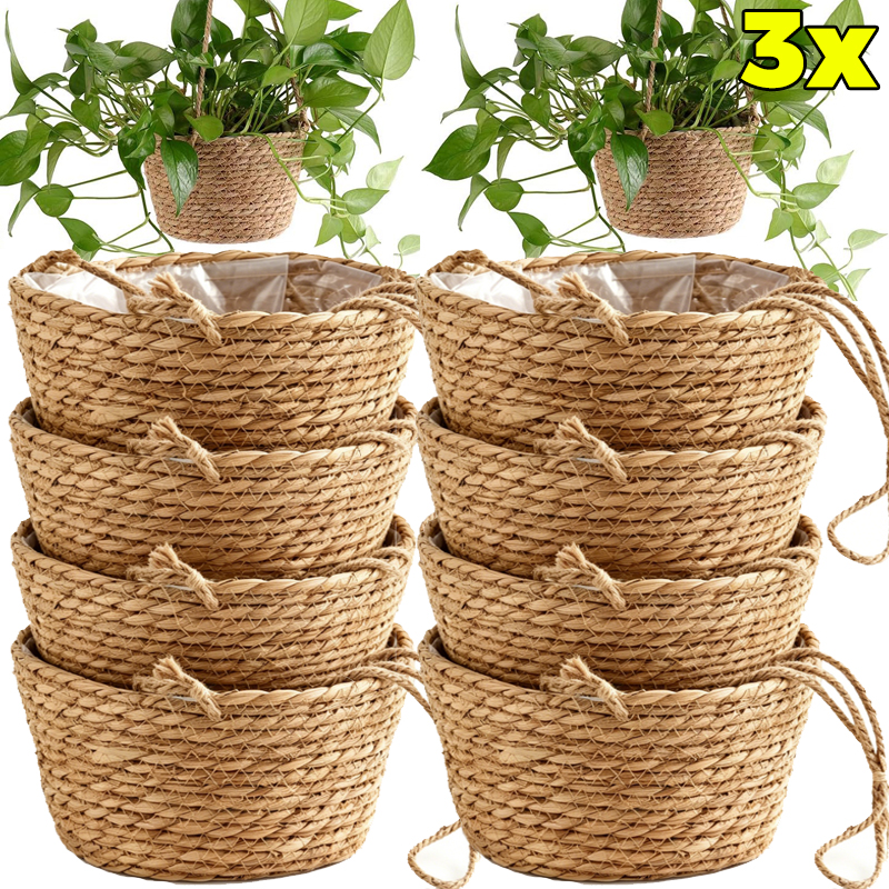 1/3x Rope Hanging Planter Bask – Spider Plant Hanging Bewertung und Preis