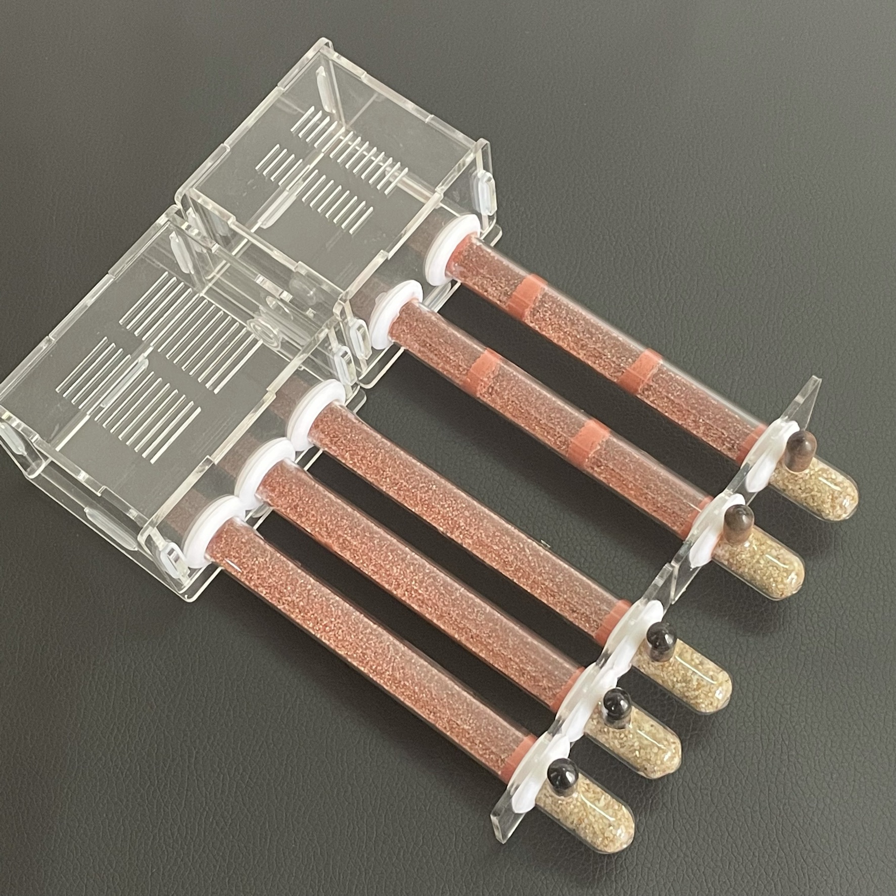 15-150mm Gypsum Test Tube Nest – Begonia Rex Bewertung und Preis