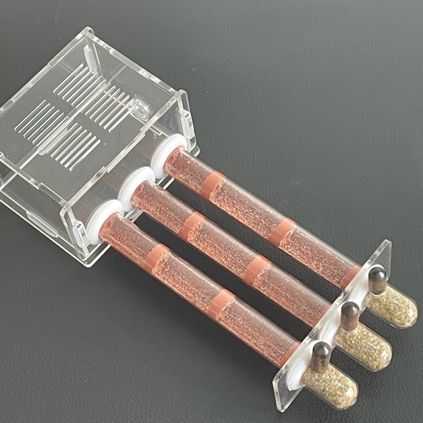 15-150mm Gypsum Test Tube Nest – Begonia Rex Bewertung und Preis