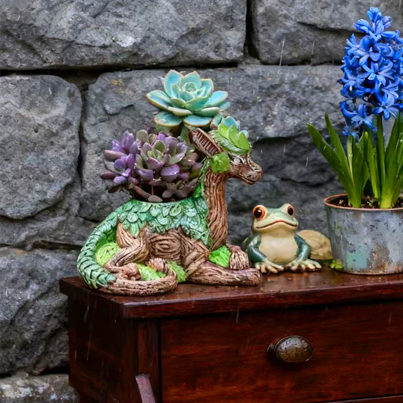 Creative Dragon Tree Flower Po – Echeveria Succulent Bewertung und Preis