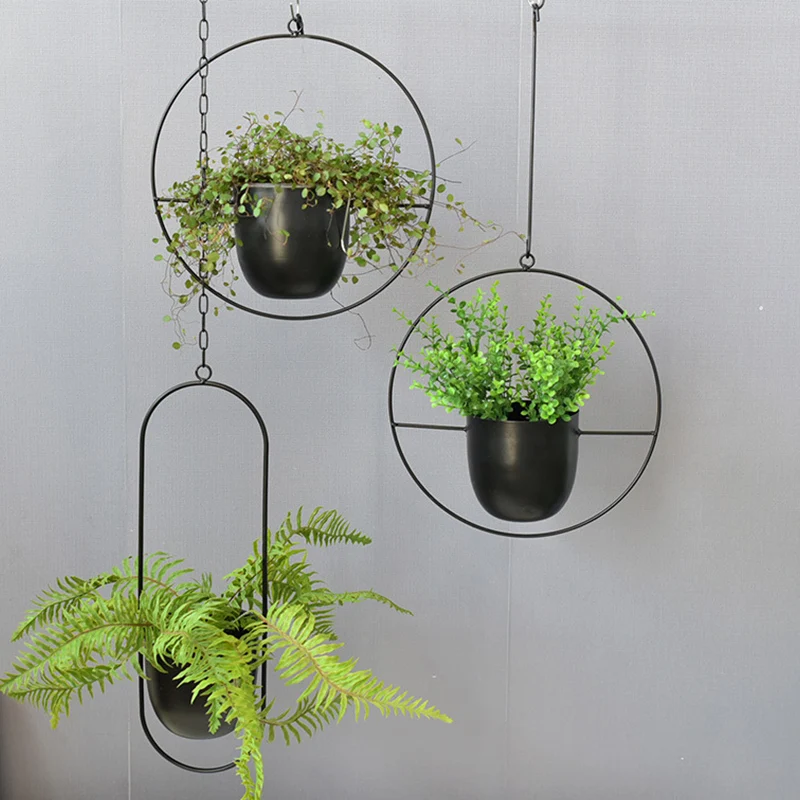 Wrought Iron Hanging Planter E – Spider Plant Hanging Bewertung und Preis