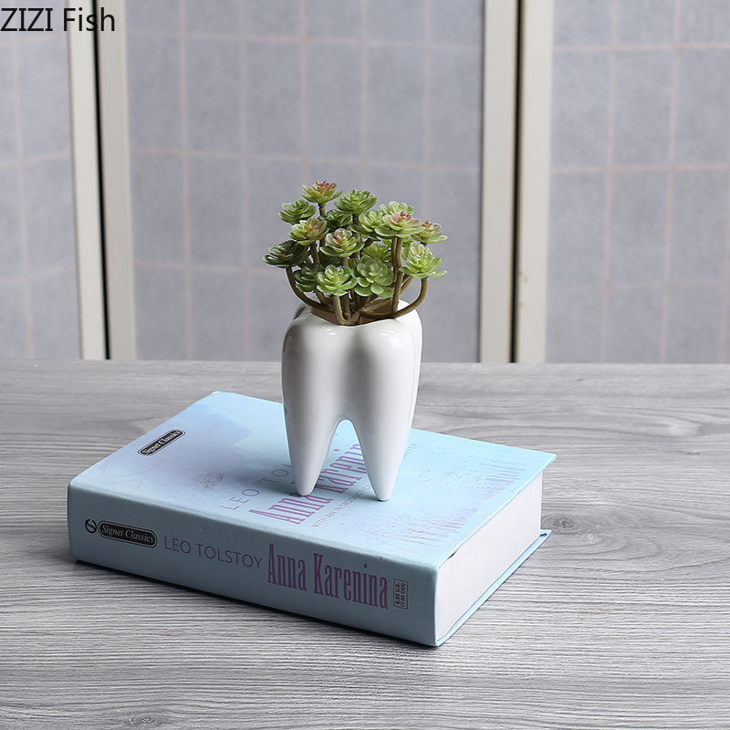 Tooth Shaped Ceramic Flower Po – Echeveria Succulent Bewertung und Preis