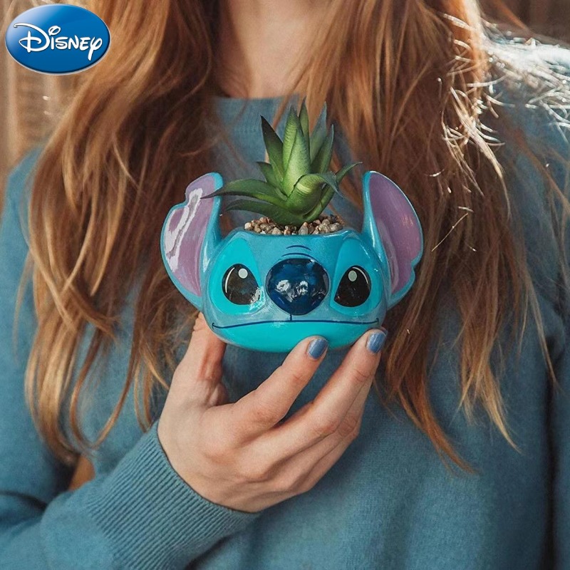 Disney Stitch Decorations Cute – Echeveria Succulent Bewertung und Preis