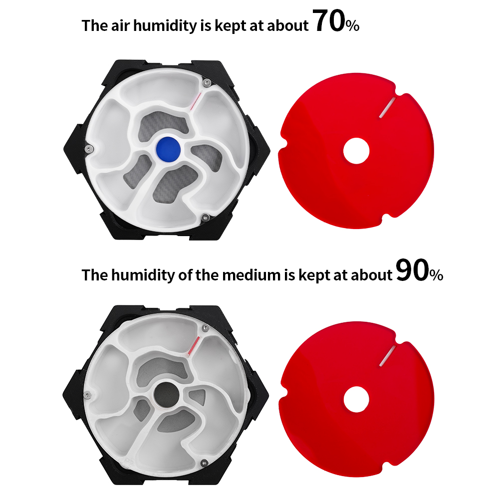 3D Printing Ant Farm Infinitel – Begonia Rex Bewertung und Preis