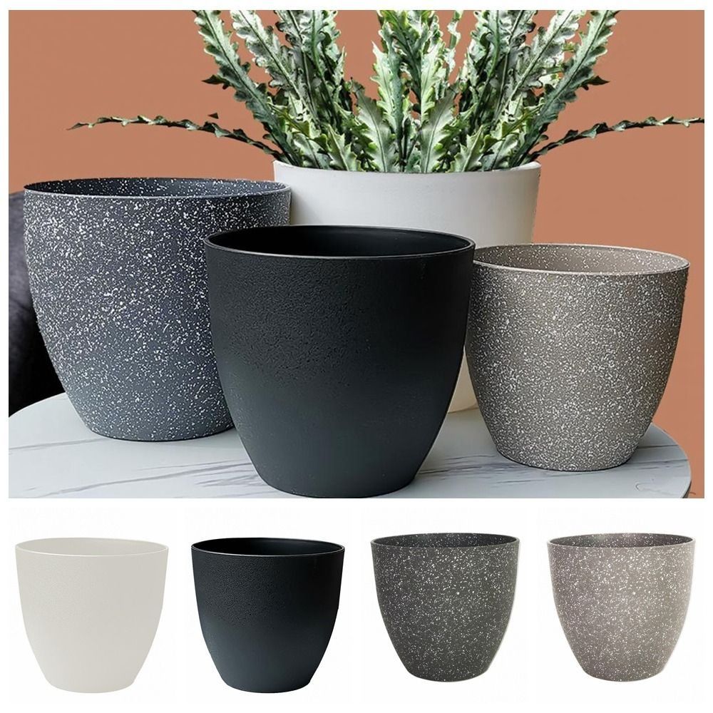 Frosted Imitation Stone Flower – Aloe Vera Pot Bewertung und Preis