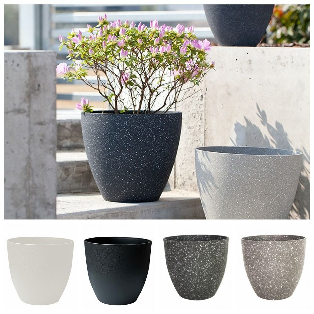 Frosted Imitation Stone Flower – Aloe Vera Pot Bewertung und Preis
