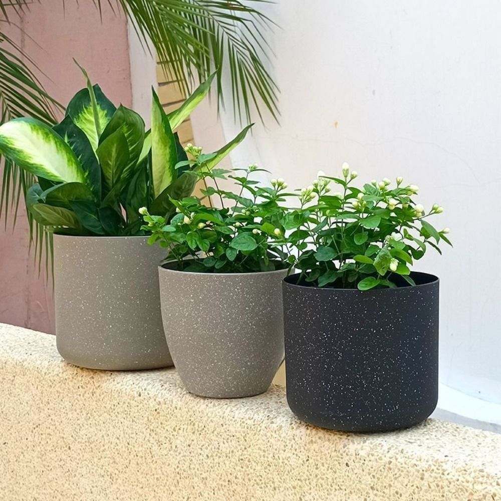 Frosted Imitation Stone Flower – Aloe Vera Pot Bewertung und Preis