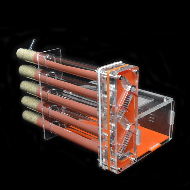 DIY Acrylic Ant Farm 5 pcs 18- – Begonia Rex Bewertung und Preis