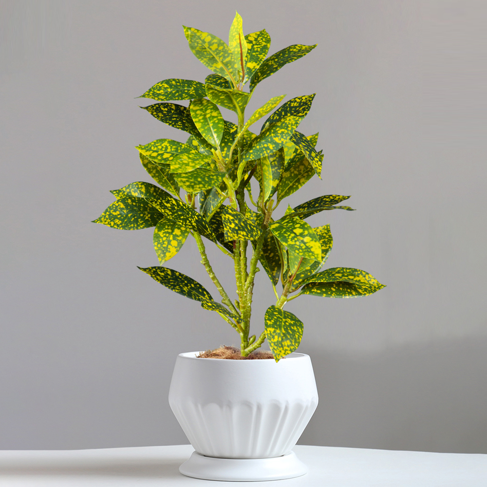 24-41cm Artificial Ficus Tree  – Ficus Lyrata Tree Bewertung und Preis