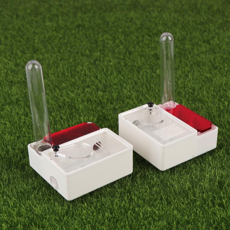 【Peace】3D Printed Ant Farm Que – Begonia Rex Bewertung und Preis