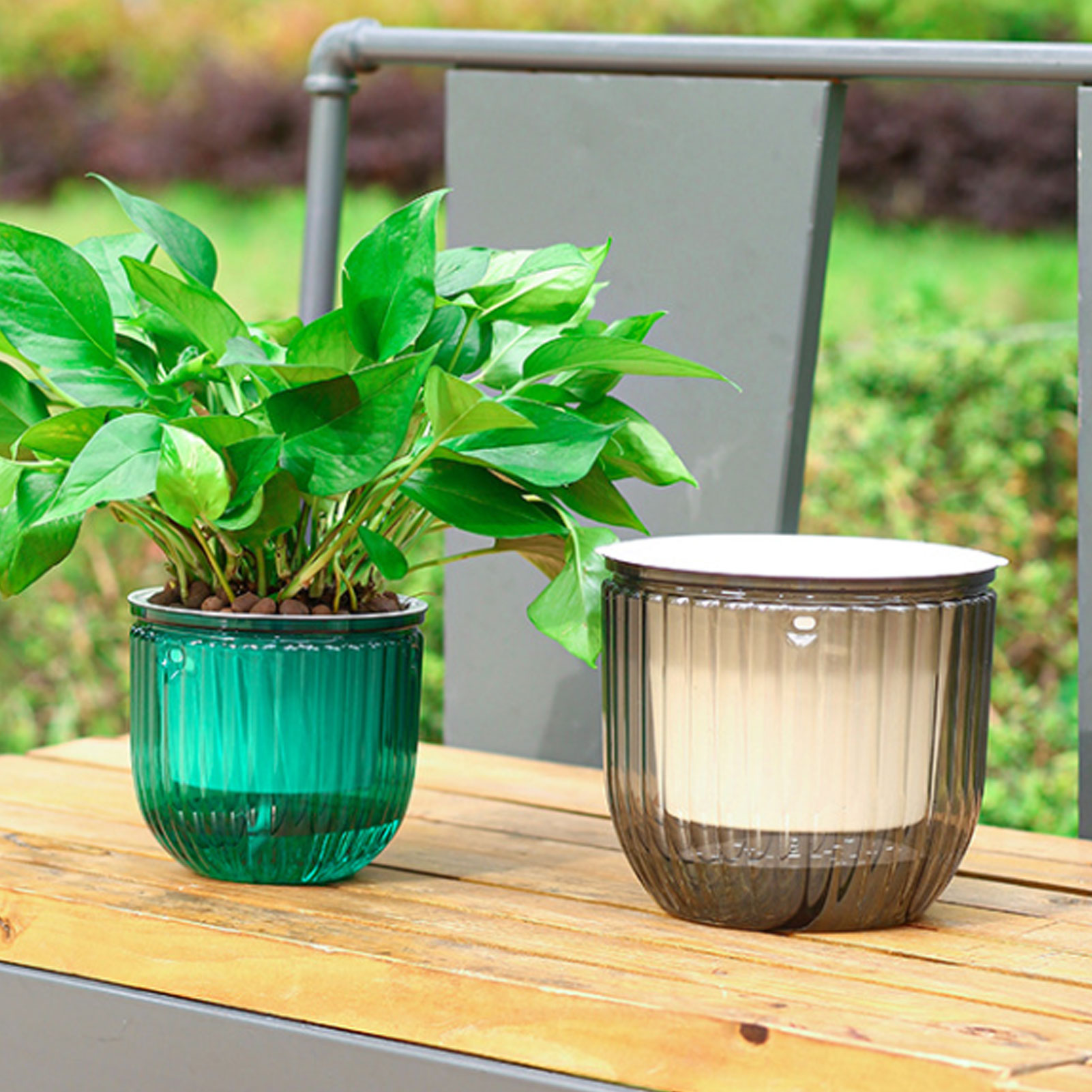 Automatic Self Watering Plant  – Spider Plant Hanging Bewertung und Preis