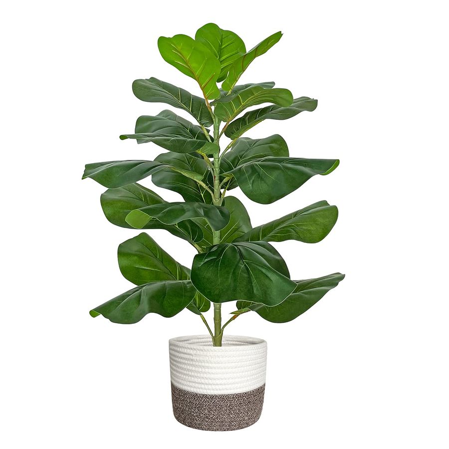Artificial Fiddle Leaf Fig Tre – Ficus Lyrata Tree Bewertung und Preis