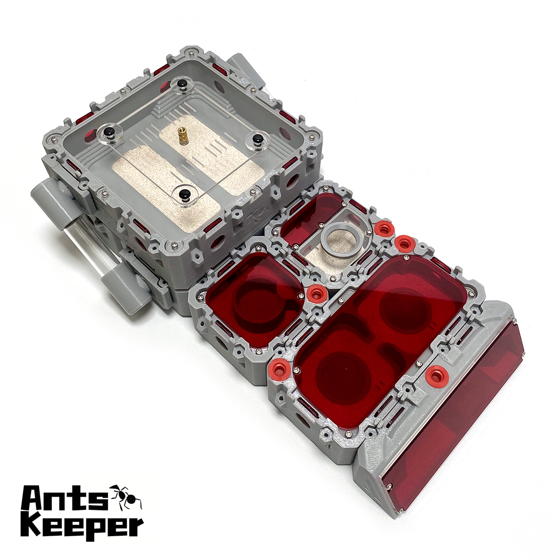 【Lego】Expandable Modular Formi – Begonia Rex Bewertung und Preis