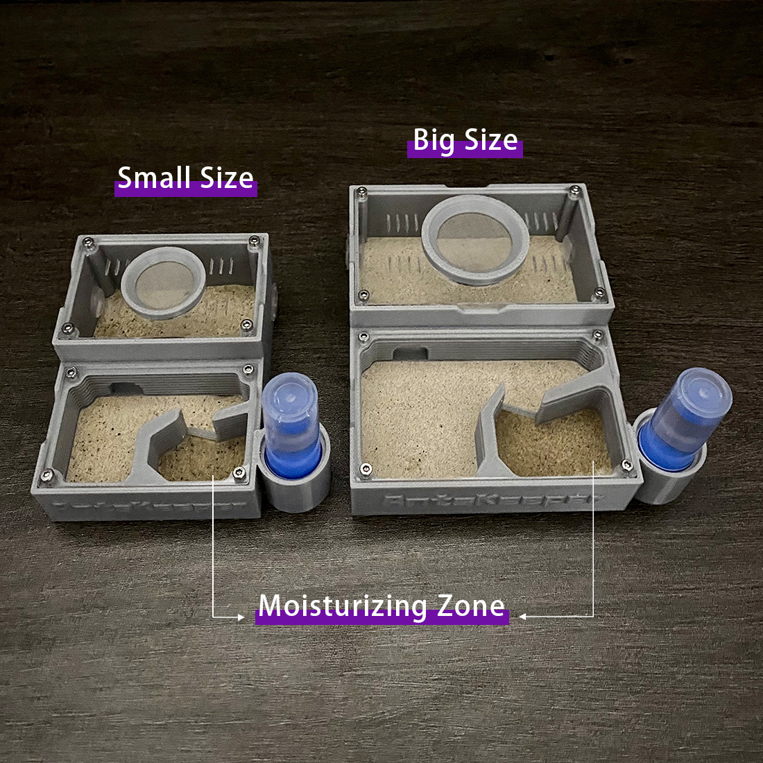 【One Section】Flat Ant Farm for – Begonia Rex Bewertung und Preis