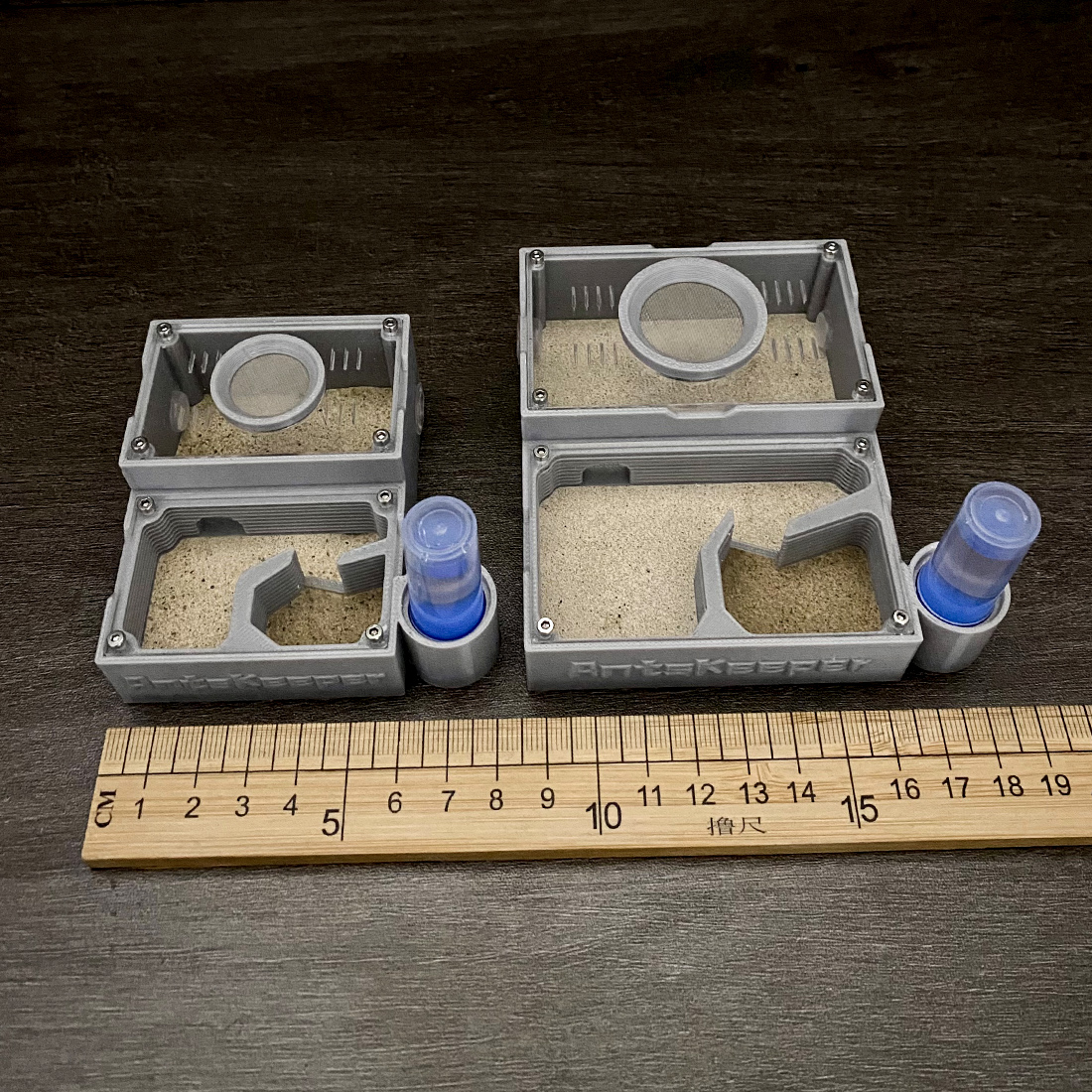 【One Section】Flat Ant Farm for – Begonia Rex Bewertung und Preis