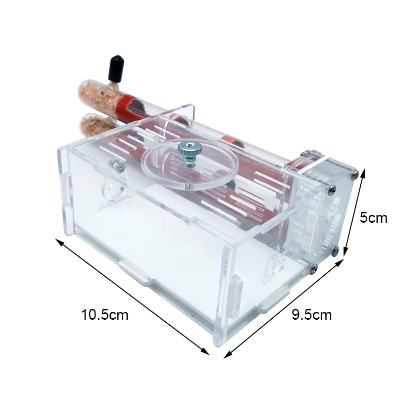 DIY Ant Farm 2 pcs 18-180mm Gy – Begonia Rex Bewertung und Preis
