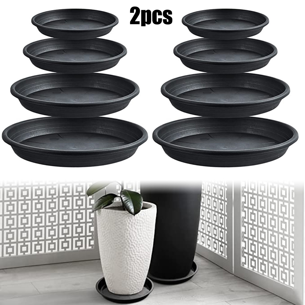 2pcs Plant Trays Round Succule – Echeveria Succulent Bewertung und Preis