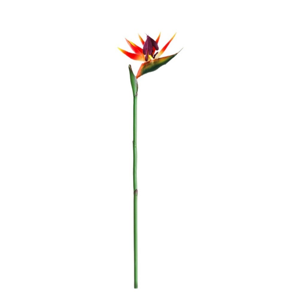 Long Stem Artificial Bird of P – Bird Paradise Strelitzia Bewertung und Preis