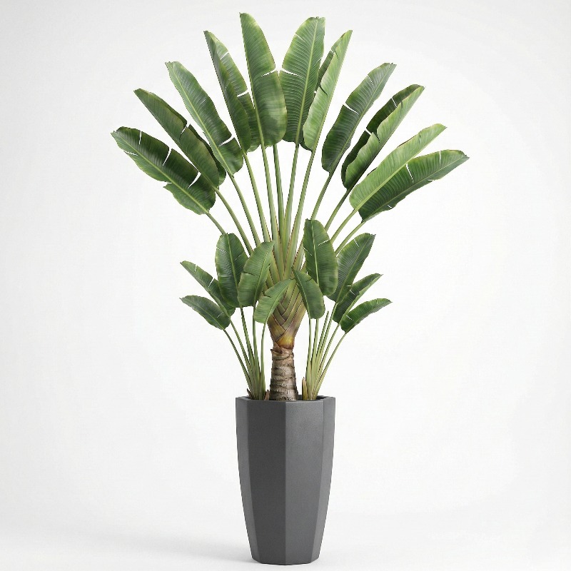 High-Simulation Plastic Fiddle – Ficus Lyrata Tree Bewertung und Preis