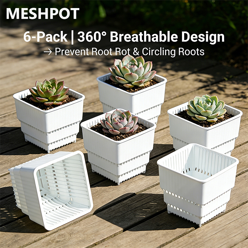 MESHPOT 6-Pack Square Pots for – Echeveria Succulent Bewertung und Preis