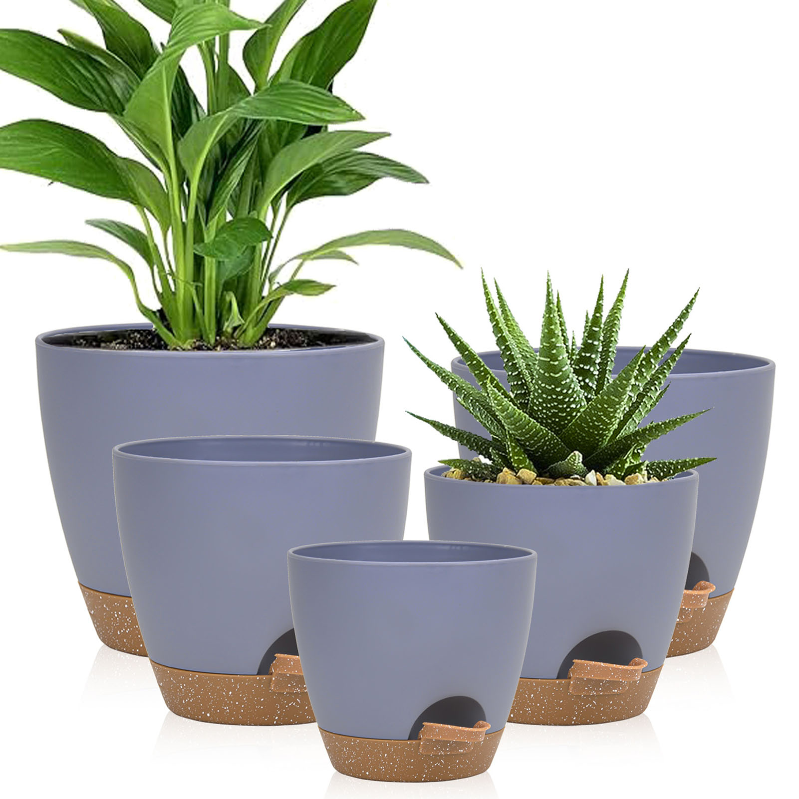 5piece Indoor Flower Pots With – Aloe Vera Pot Bewertung und Preis