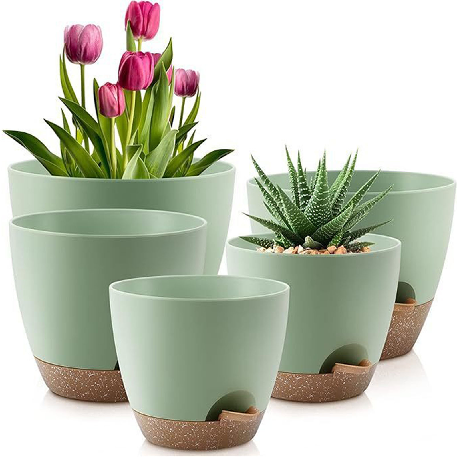 5piece Indoor Flower Pots With – Aloe Vera Pot Bewertung und Preis