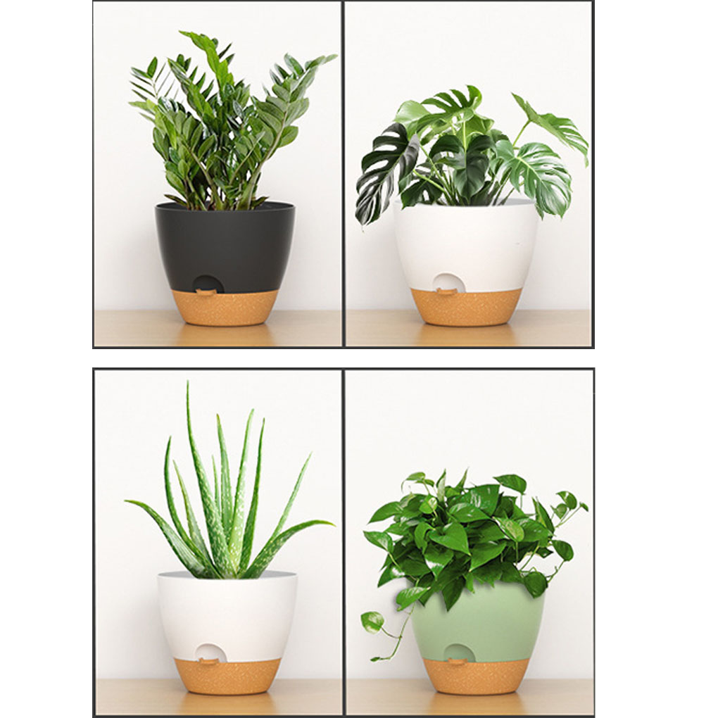 5piece Indoor Flower Pots With – Aloe Vera Pot Bewertung und Preis