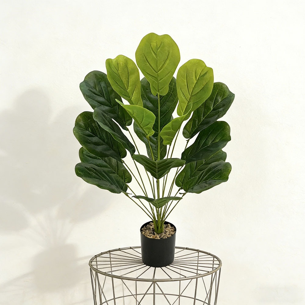 1pc of 75cm Artificial Ficus L – Ficus Lyrata Tree Bewertung und Preis
