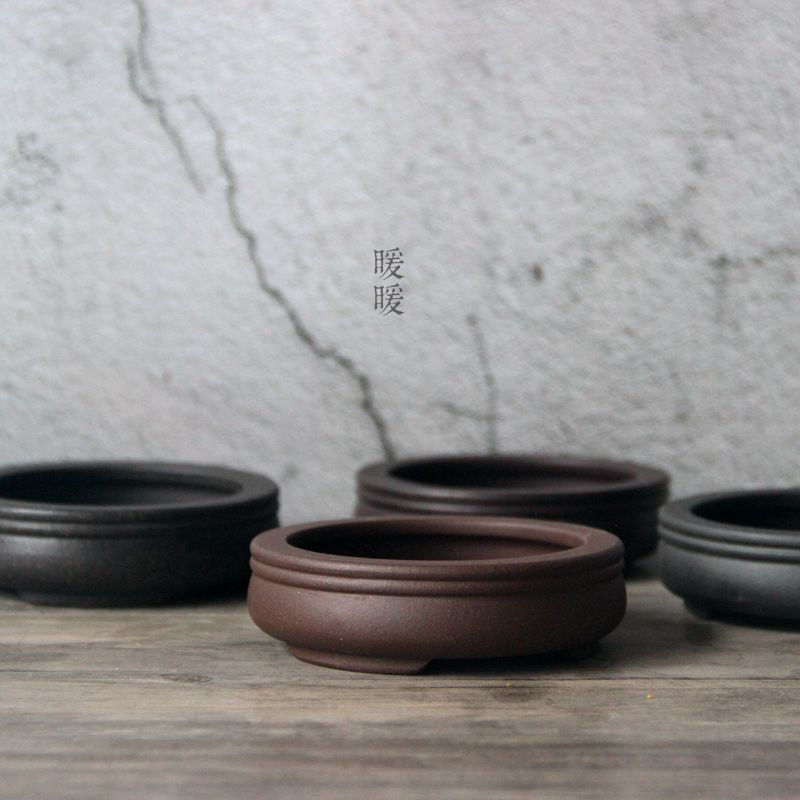 Ceramic Circle Bonsai Pot,Plat – Pilea Peperomioides Bewertung und Preis