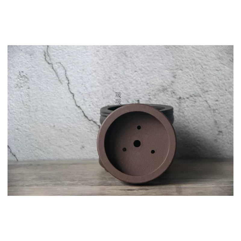 Ceramic Circle Bonsai Pot,Plat – Pilea Peperomioides Bewertung und Preis