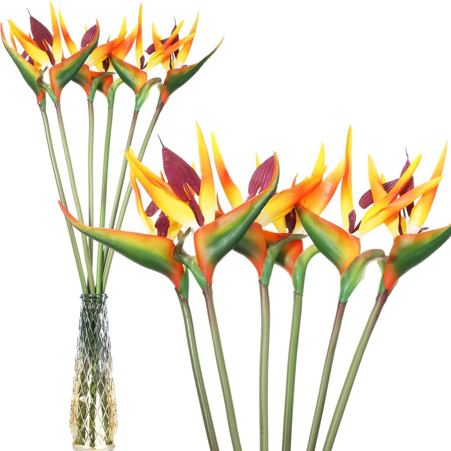 12 Pcs Bird of Paradise Artifi – Bird Paradise Strelitzia Bewertung und Preis