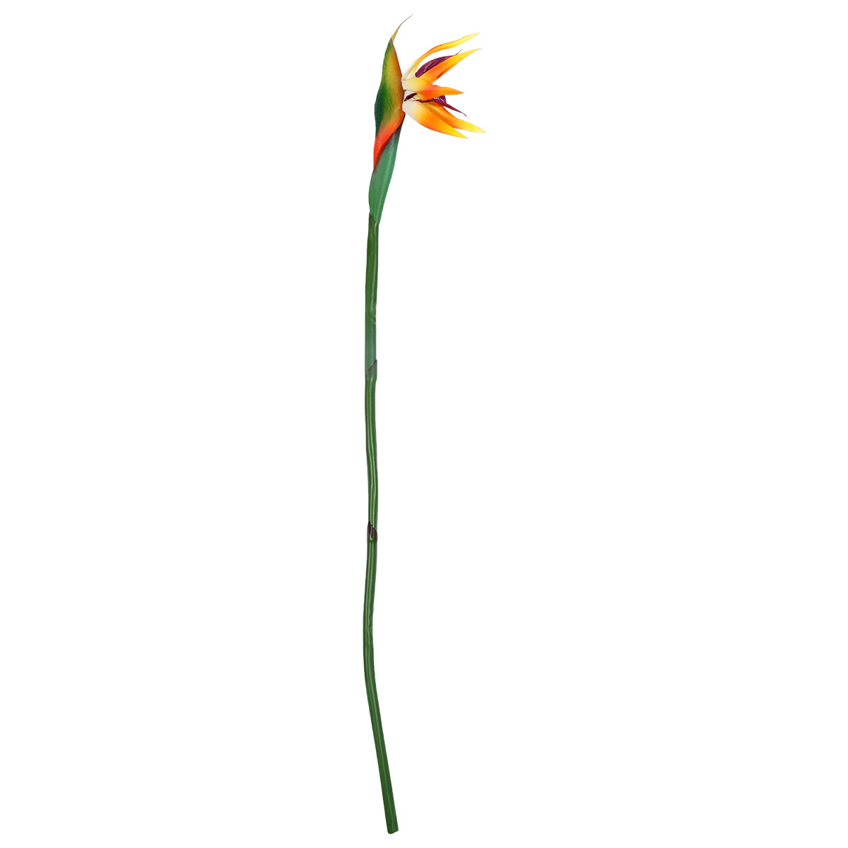Artificial Strelitzia Flower R – Bird Paradise Strelitzia Bewertung und Preis