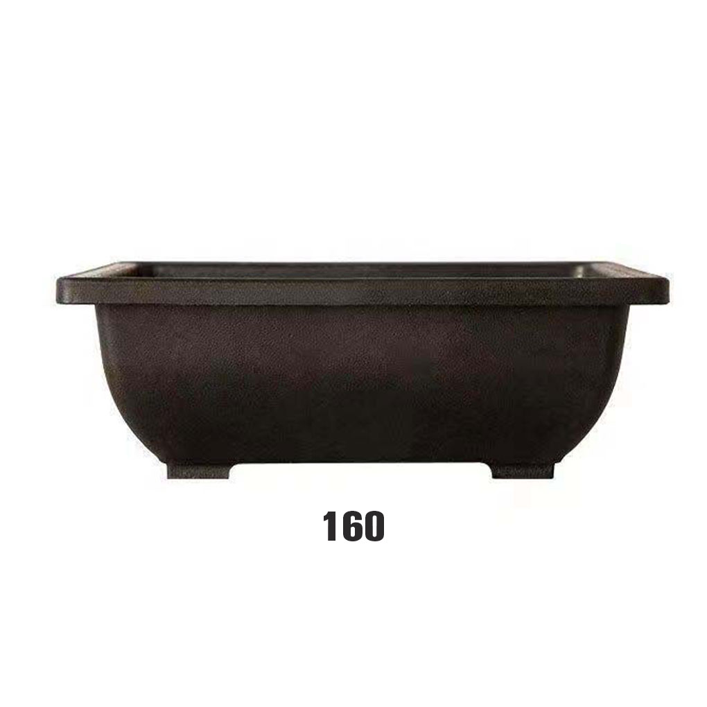 Plant Pots Bonsai Succulent Nu – Pilea Peperomioides Bewertung und Preis