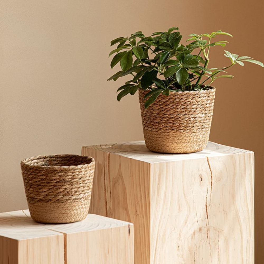 Straw Weaving Flower Plant Pot – Aloe Vera Pot Bewertung und Preis