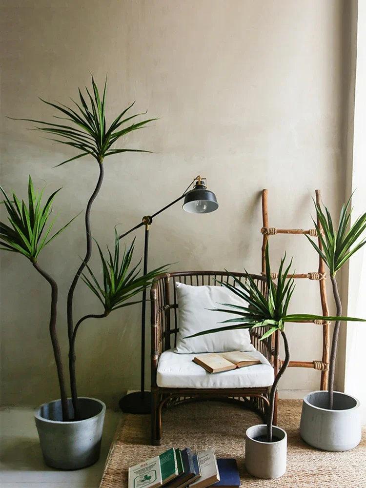 Simulation Plant Dracaena Marg – Dracaena Marginata Bewertung und Preis