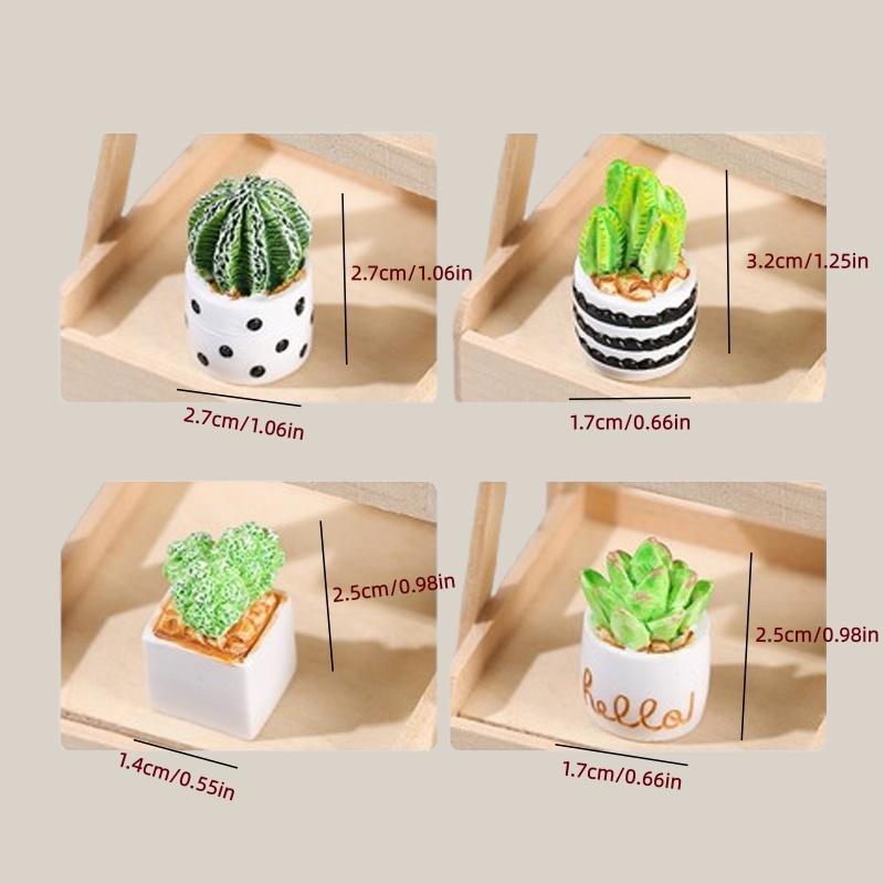 4-Piece Set of Cactus Succulen – Echeveria Succulent Bewertung und Preis
