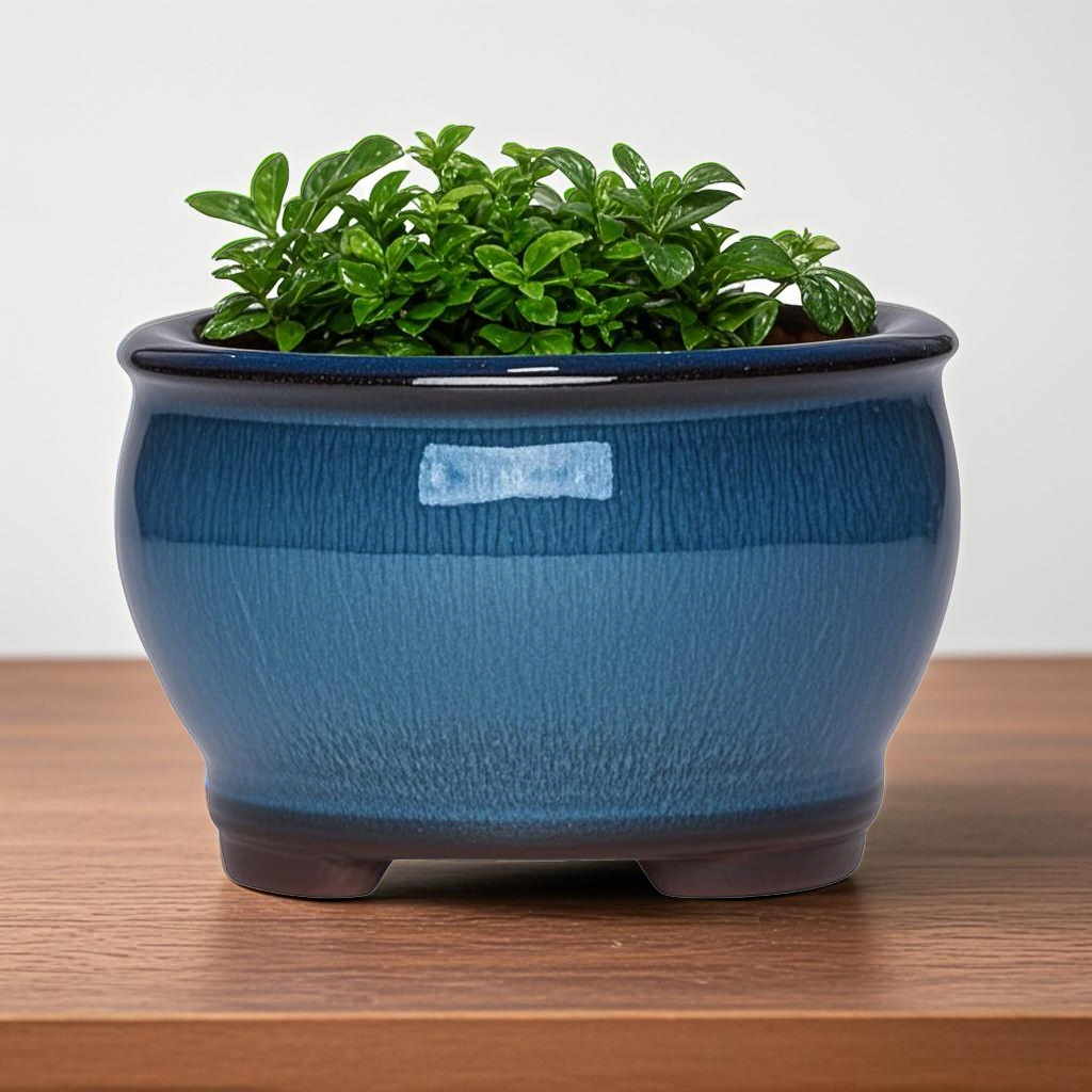 Ceramic Garden Planter Pots Ce – Pilea Peperomioides Bewertung und Preis