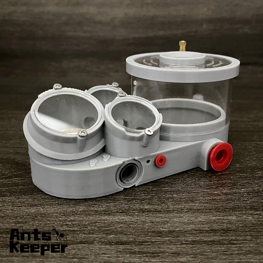 【Three Body】Ant Farm with Wate – Begonia Rex Bewertung und Preis
