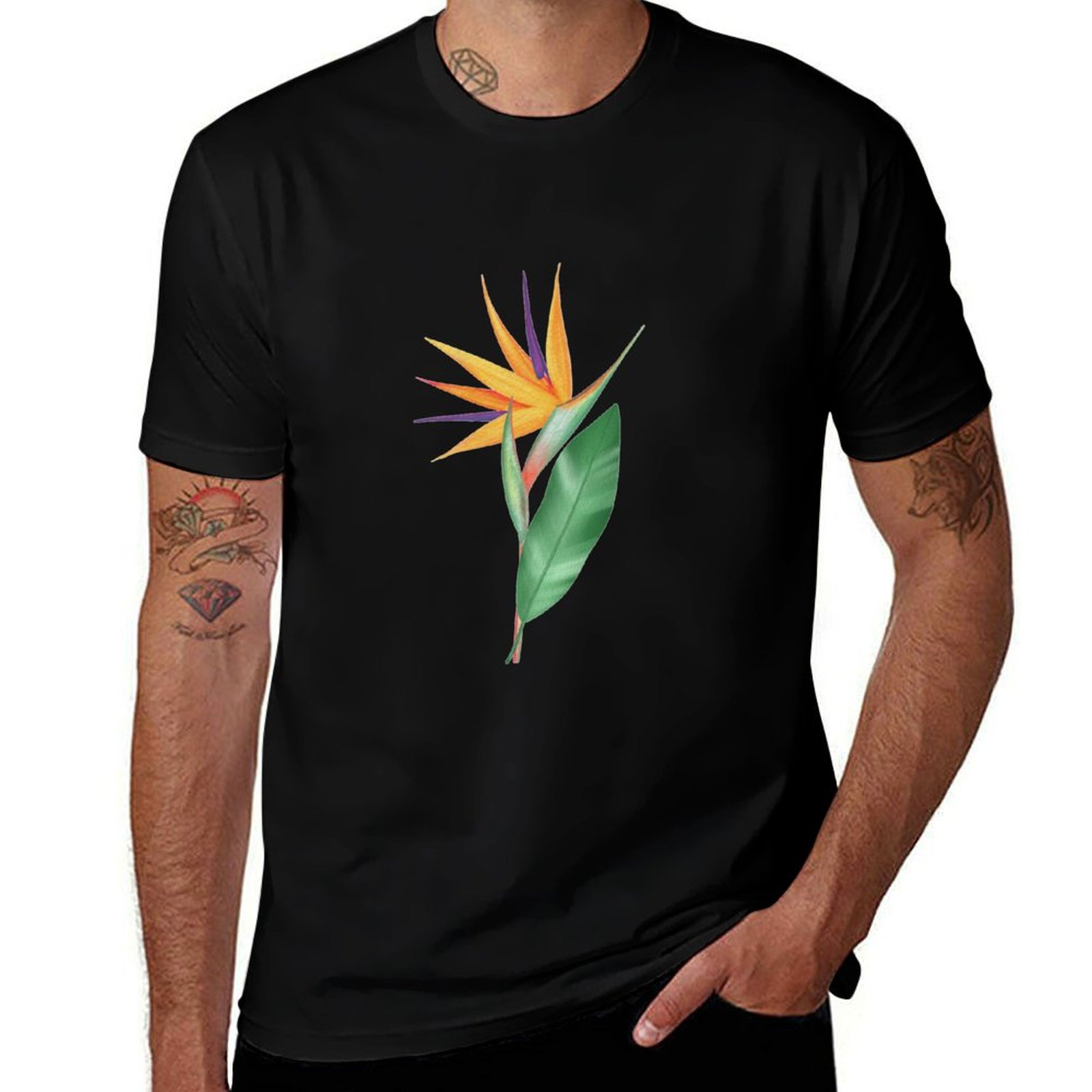 Watercolor bird of paradise fl – Bird Paradise Strelitzia Bewertung und Preis