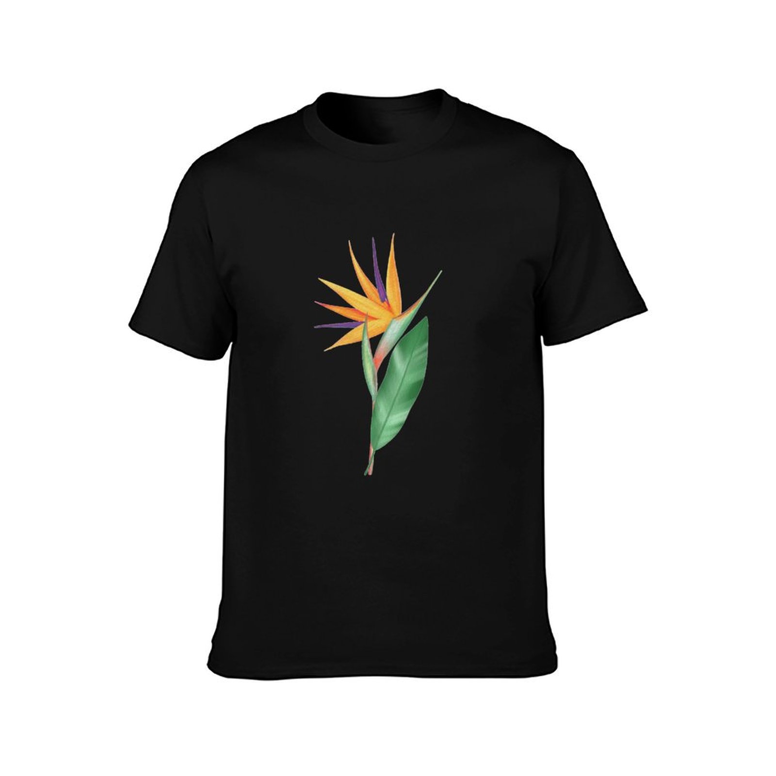 Watercolor bird of paradise fl – Bird Paradise Strelitzia Bewertung und Preis