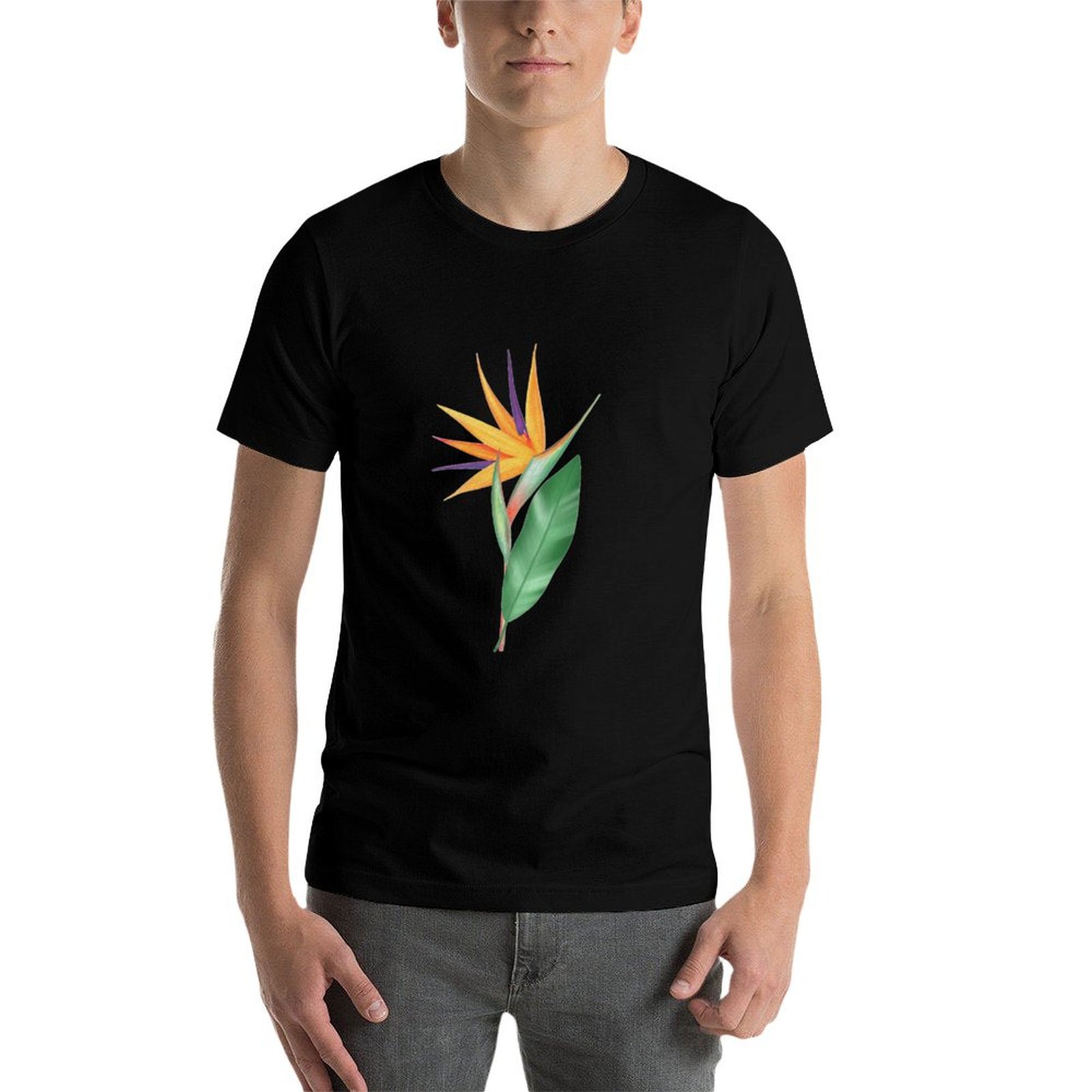 Watercolor bird of paradise fl – Bird Paradise Strelitzia Bewertung und Preis