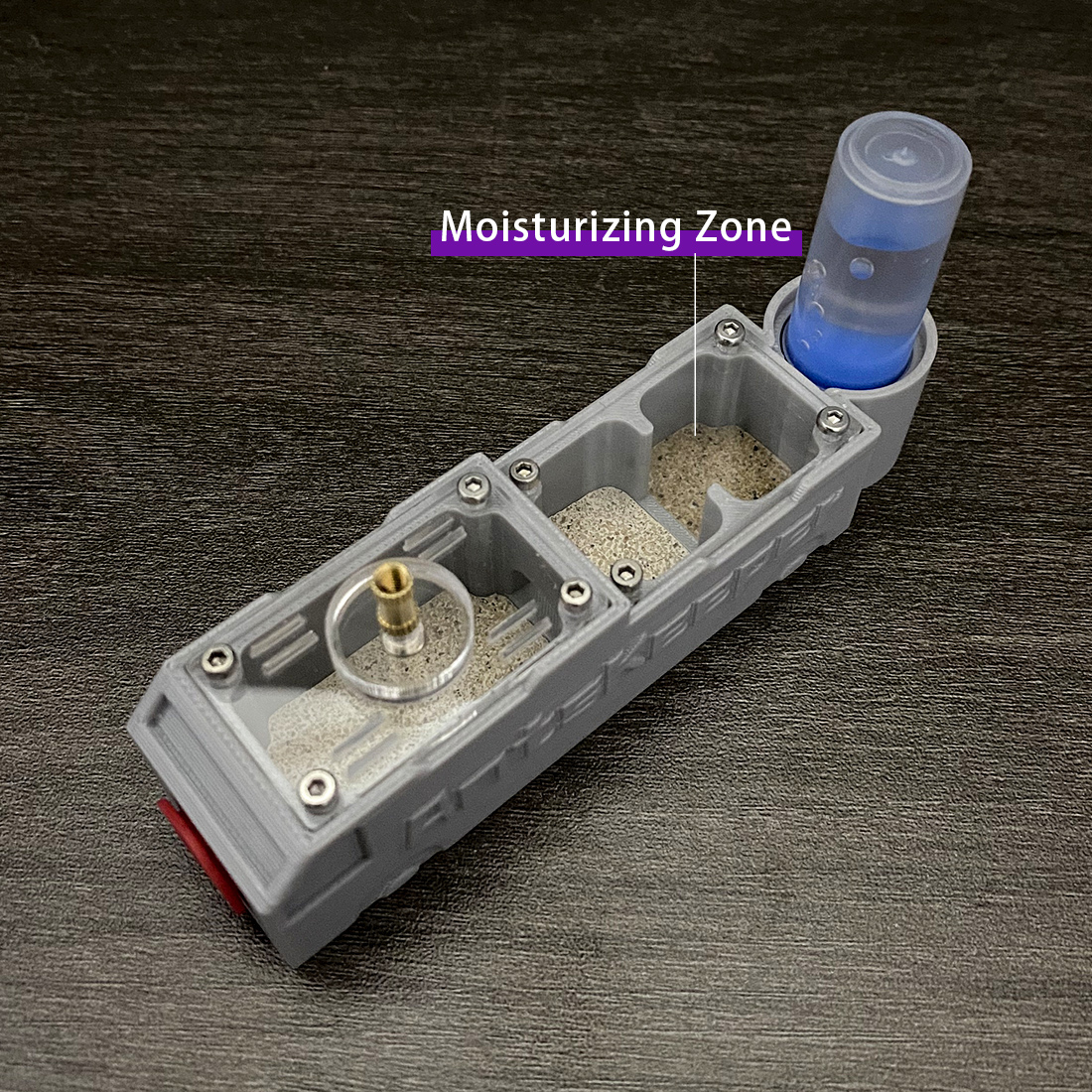 【Truck】Ant Farm for Ants keepe – Begonia Rex Bewertung und Preis